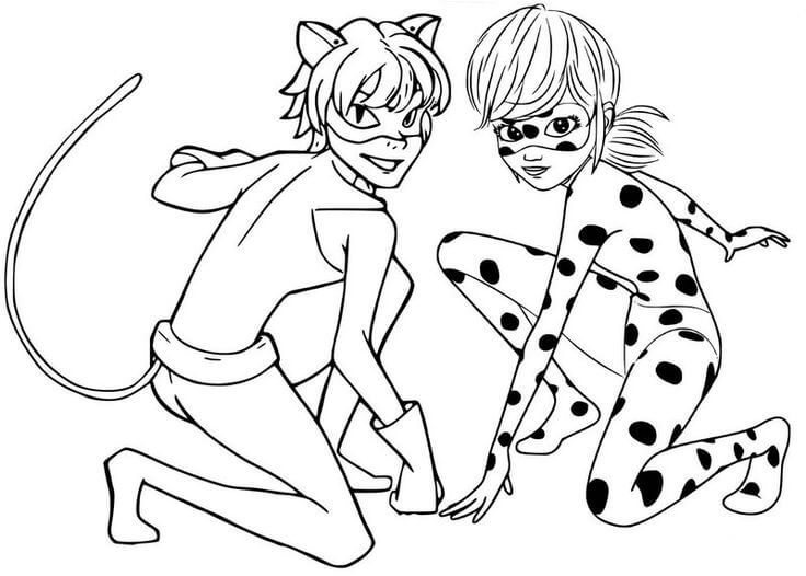 Dibujos de Ladybug Básica y Cat Noir para colorear