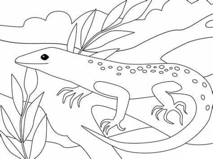 Dibujos de Lagartija para niños para colorear