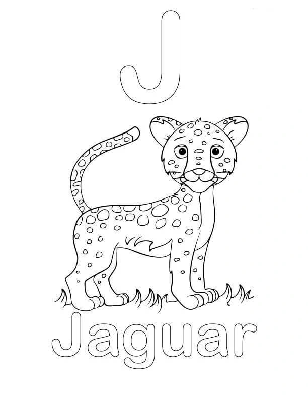 Letra J y Jaguar para colorir
