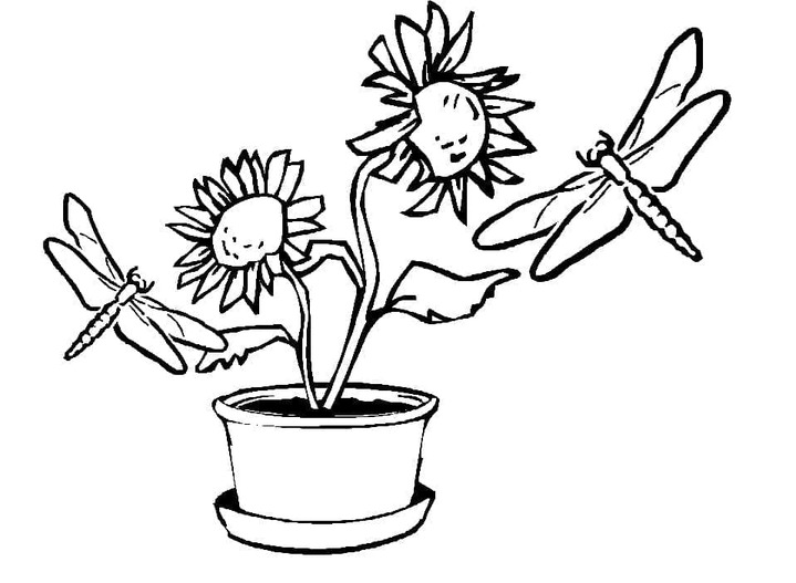 Dibujos de Libélulas y girasoles para colorear