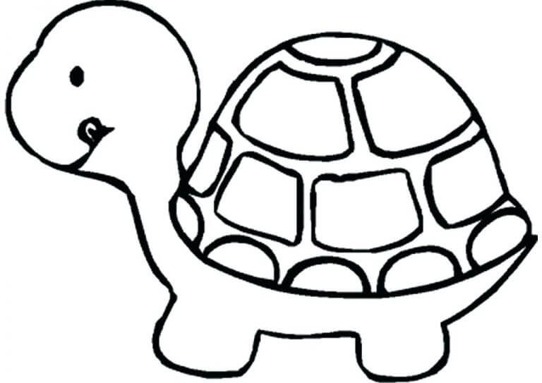 Linda Tortuga Mascota para colorir