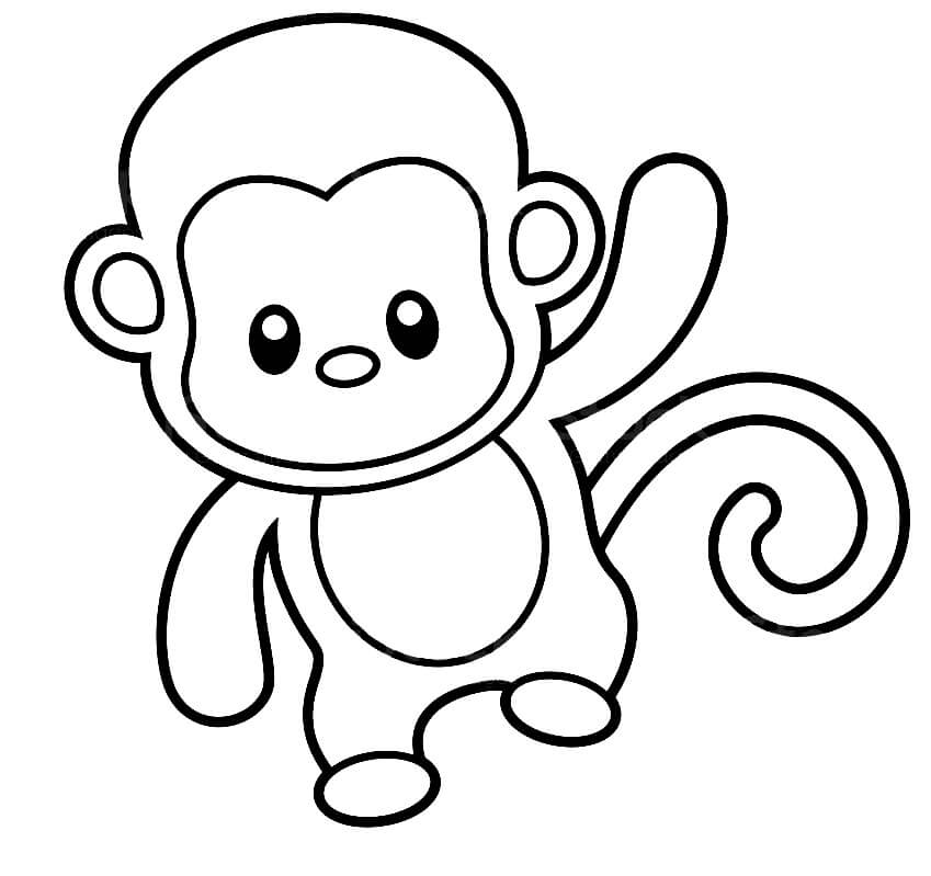 Lindo bebé Mono para colorir
