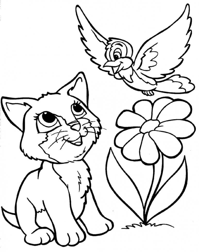 Dibujos de Lindo Gato y Pájaro para colorear