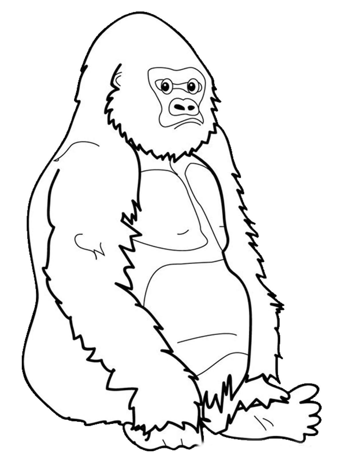 Lindo Gorila Sentado para colorir