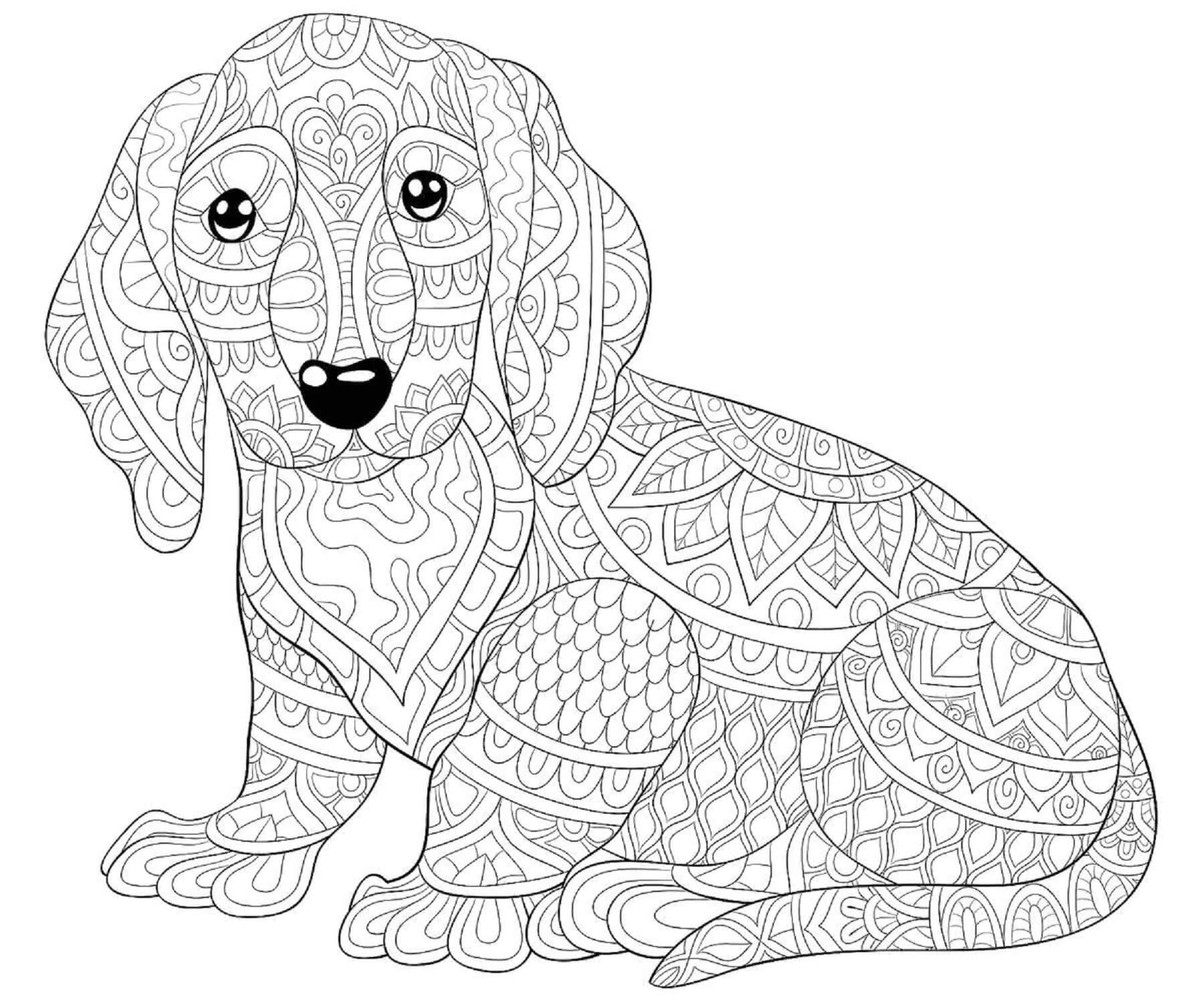 Dibujos de Lindo Mandala de Perro para colorear