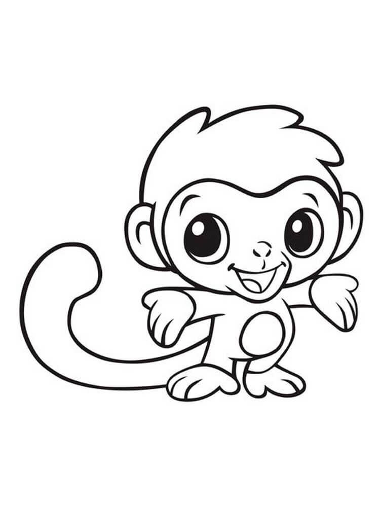 Lindo Mono Divertido para colorir