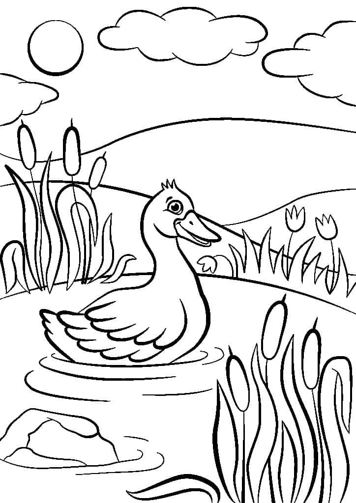 Dibujos de Lindo pato de granja para colorear