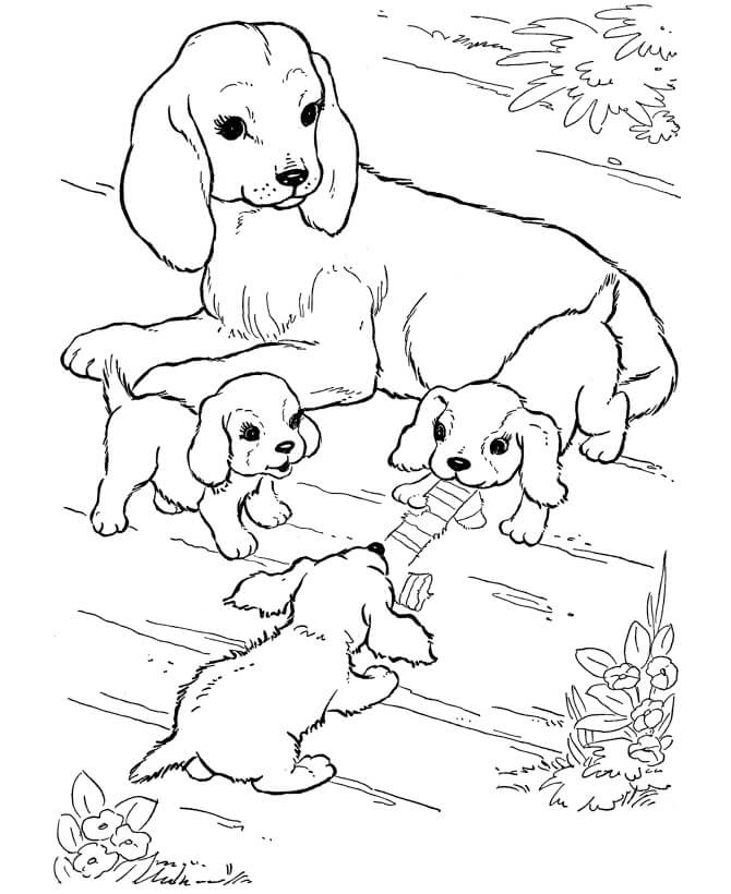 Dibujos de Lindo Perro de Familia para colorear
