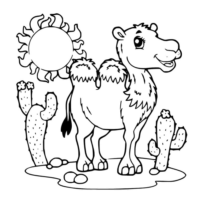 Dibujos de Lindos camellos para colorear