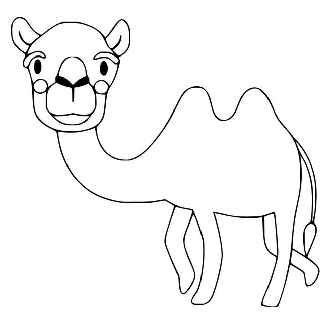 Dibujos de Lindos y divertidos camellos para colorear