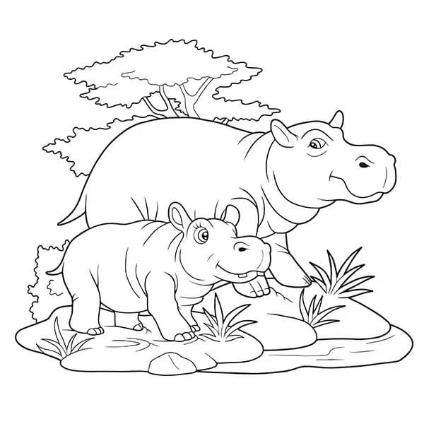 Dibujos de Madre hipopótamo Básica y Bebé Hipopótamo para colorear
