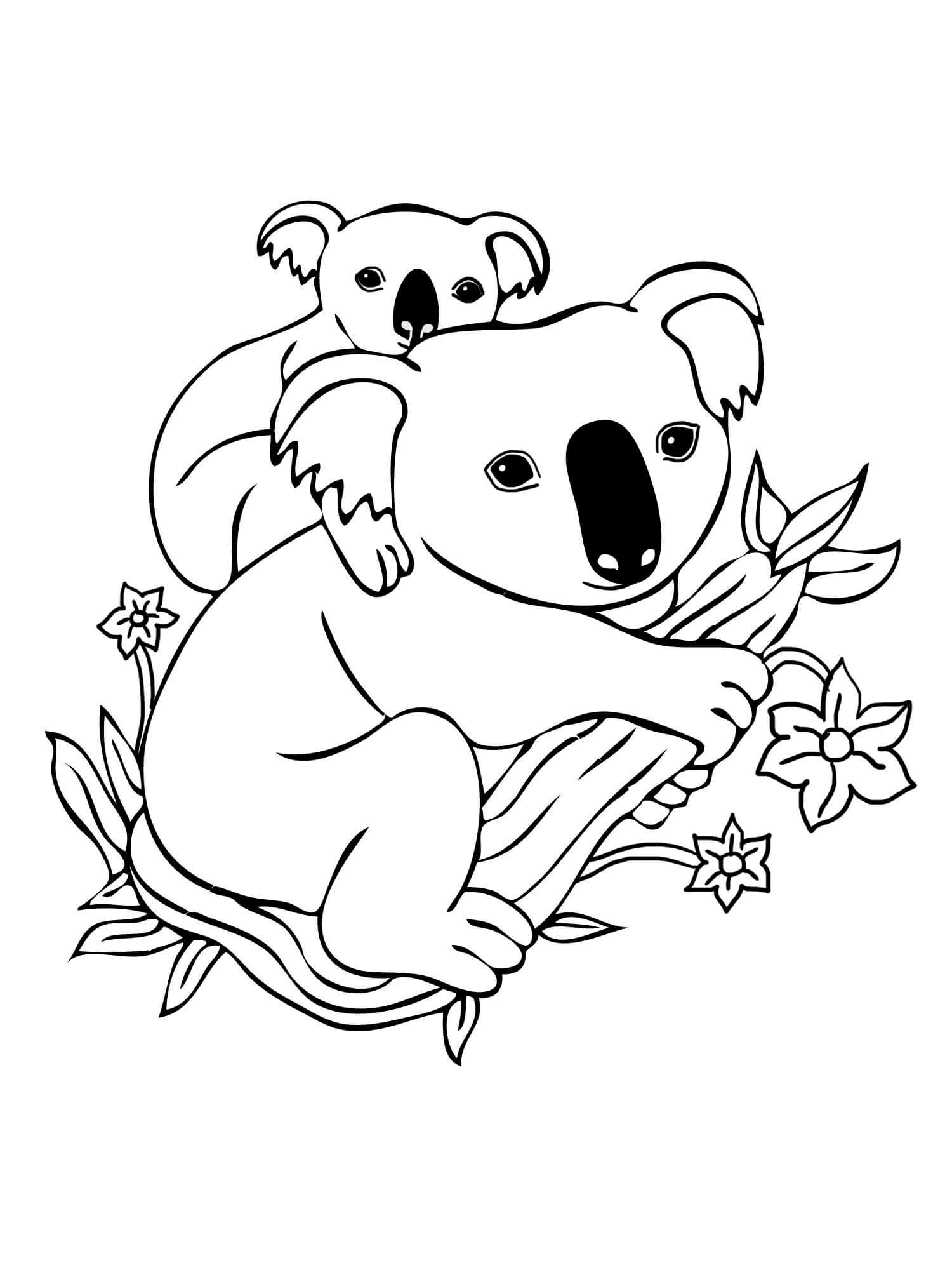 Dibujos de Madre Koala con Bebé Koala en rama Árbol para colorear