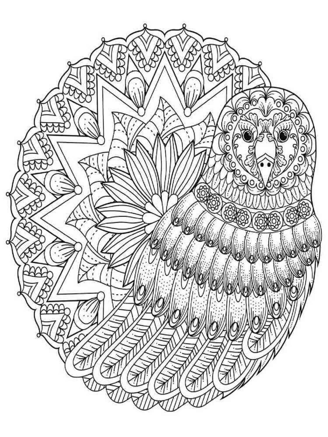 Dibujos de Mandala básico de aves para colorear