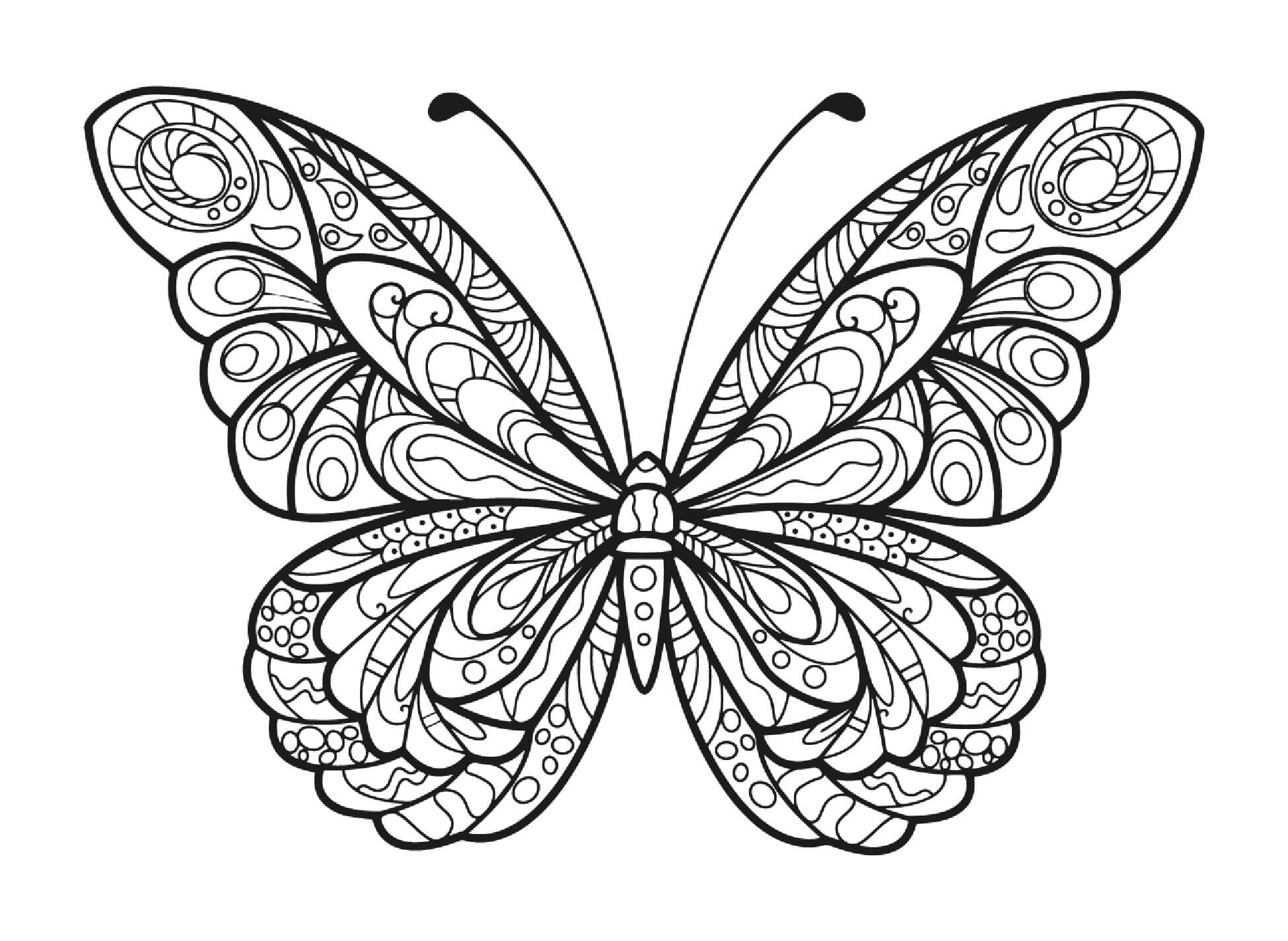 Dibujos de Mandala básico de Mariposas para colorear