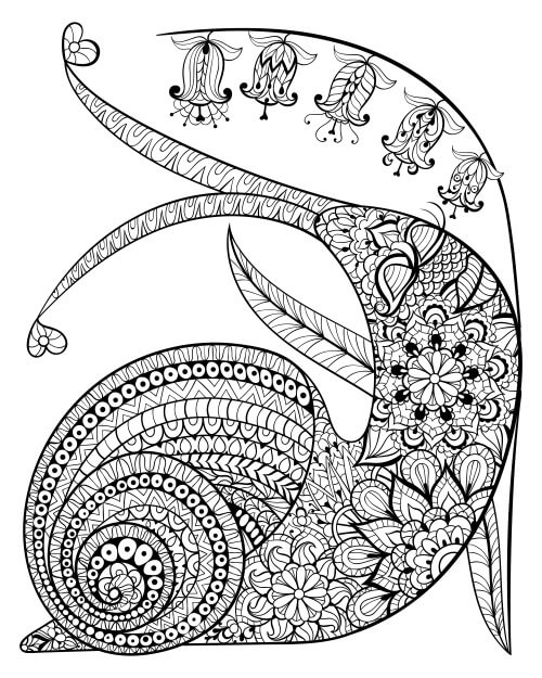 Dibujos de Mandala Caracol para colorear