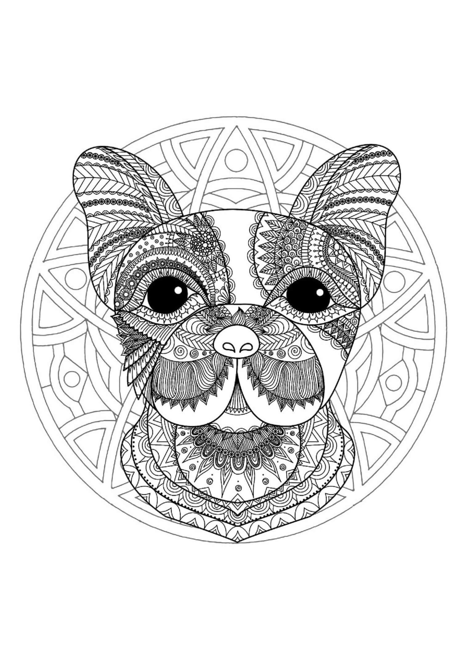 Dibujos de Mandala con cabeza de Perro para colorear