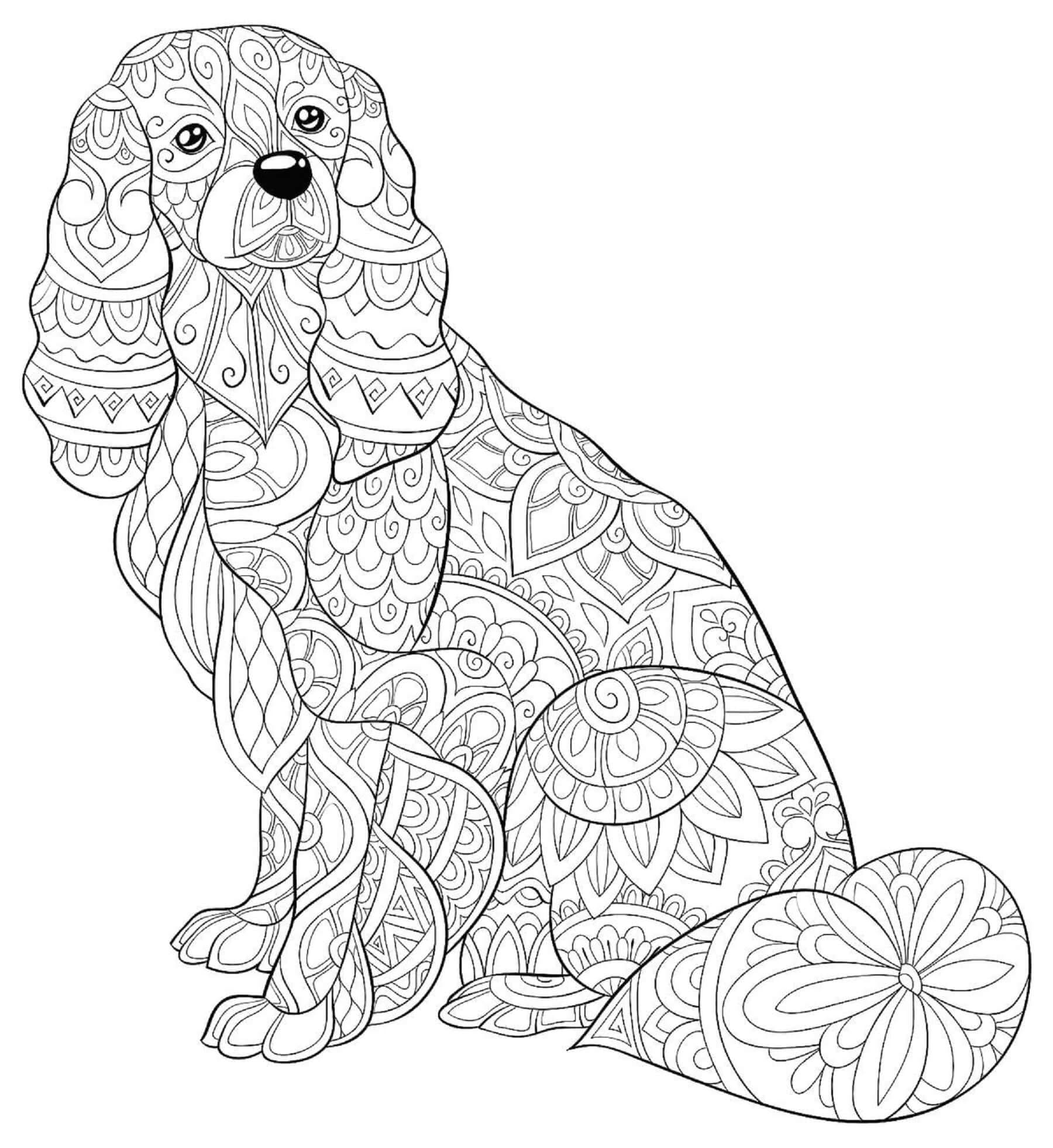 Dibujos de Mandala con gráficos gratuitos de Perro para colorear