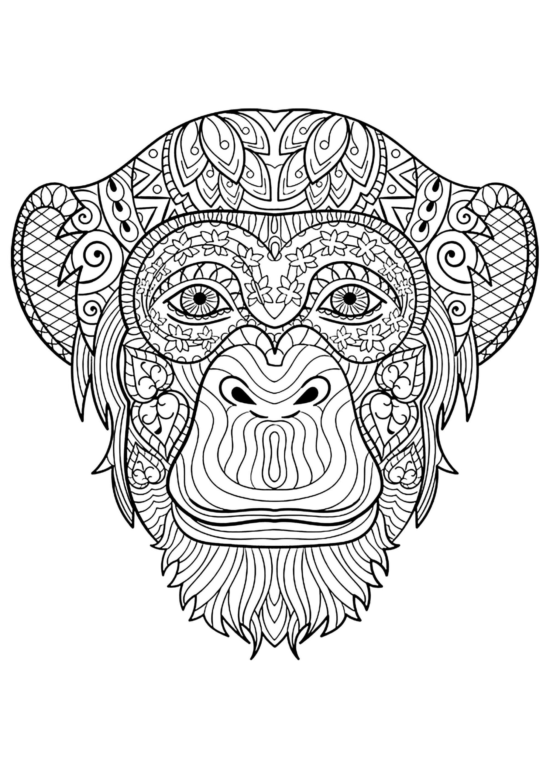 Dibujos de Mandala de Cabeza de Mono para colorear