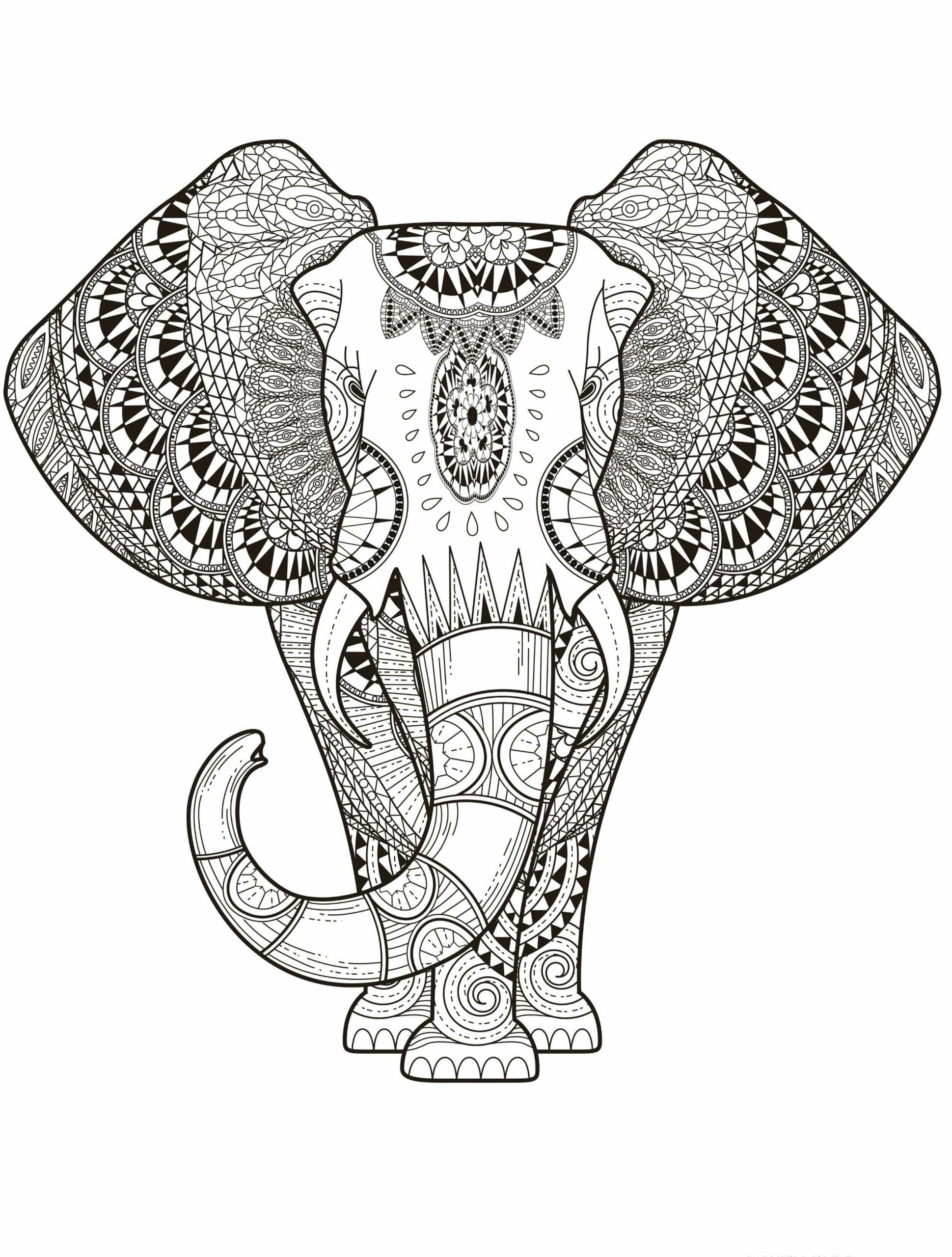 Dibujos de Mandala de Elefante perfecto para colorear