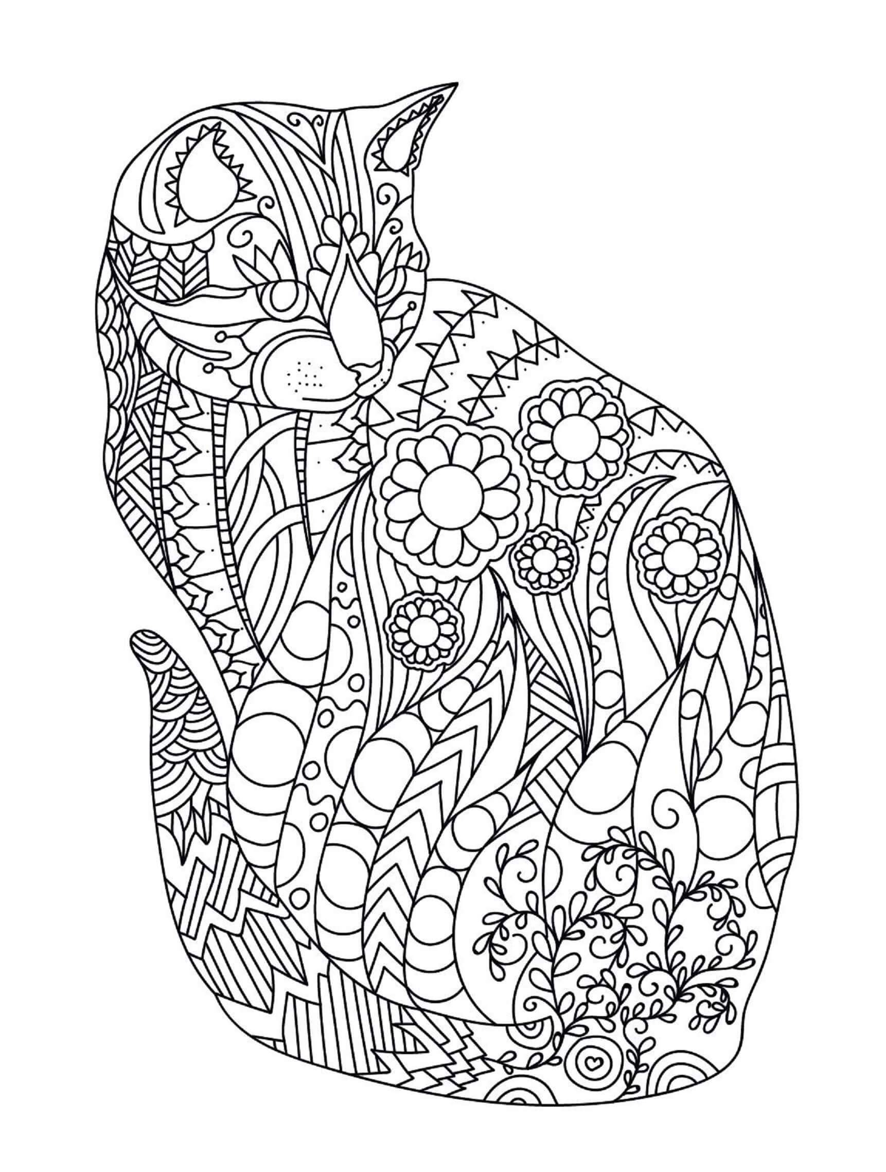 Mandala de Gato Sencilla para colorir