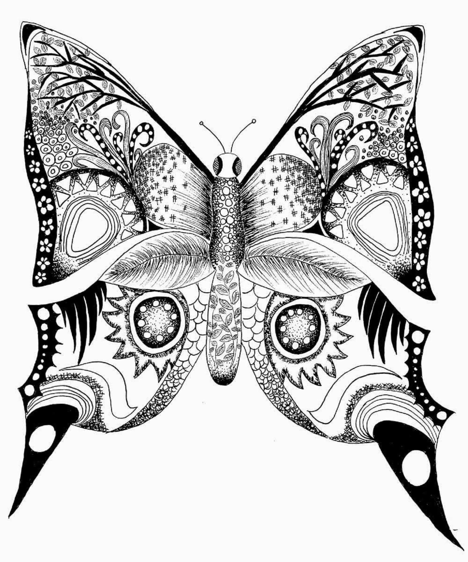 Dibujos de Mandala de Mariposas fantasma para colorear