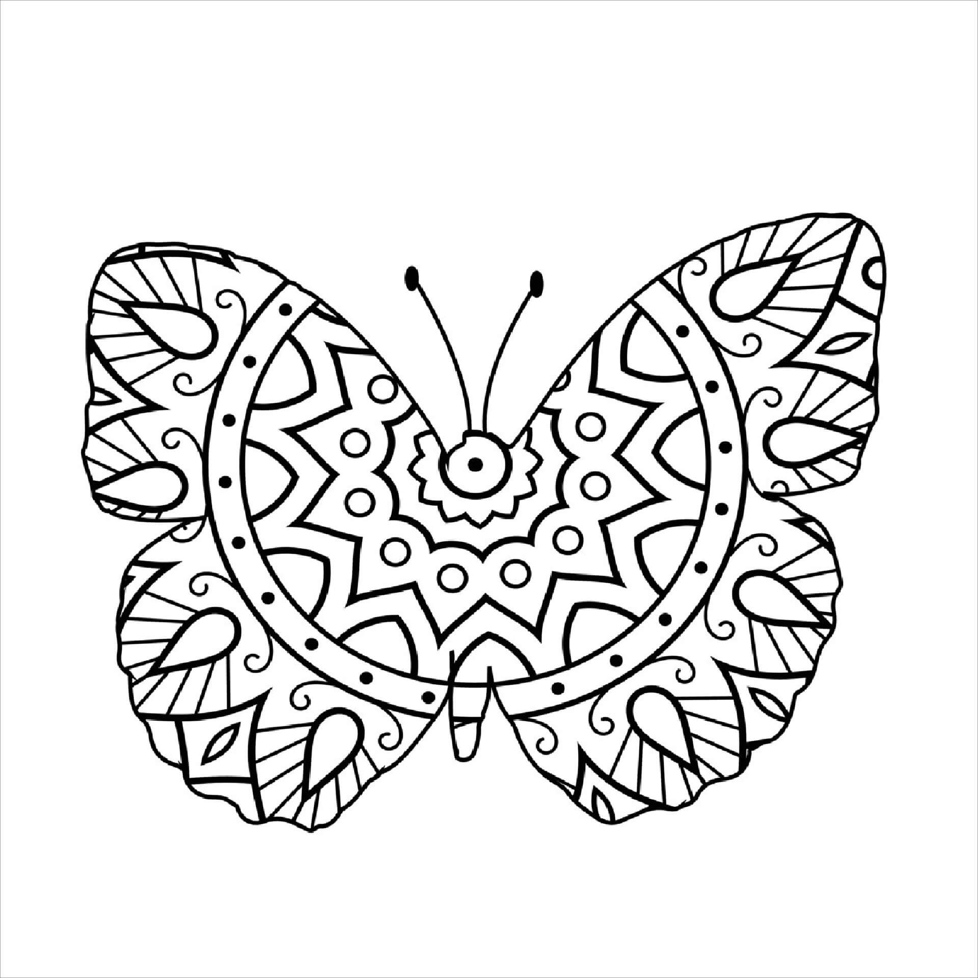 Dibujos de Mandala de Mariposas gratis para colorear