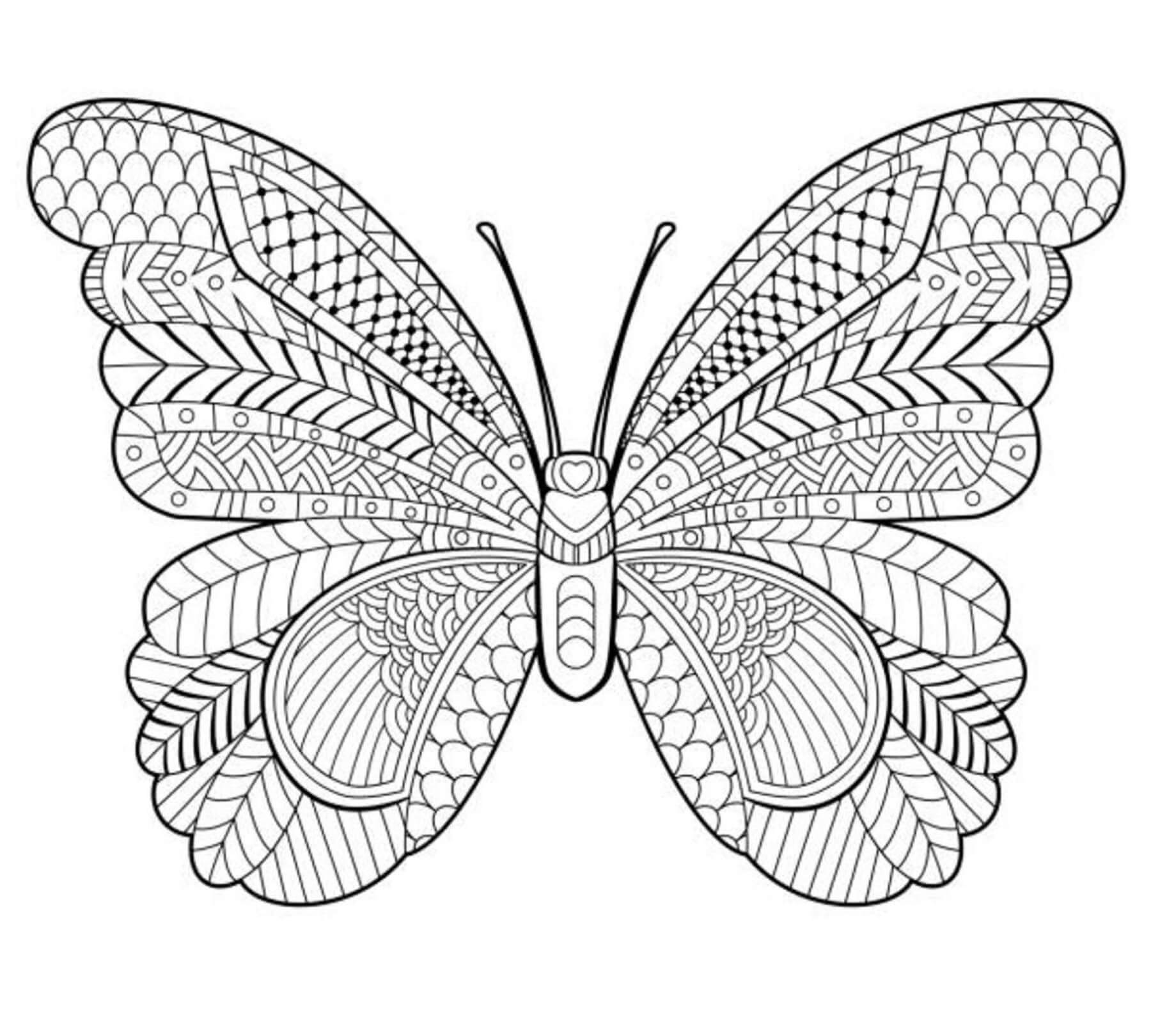 Dibujos de Mandala de Mariposas perfecta para colorear