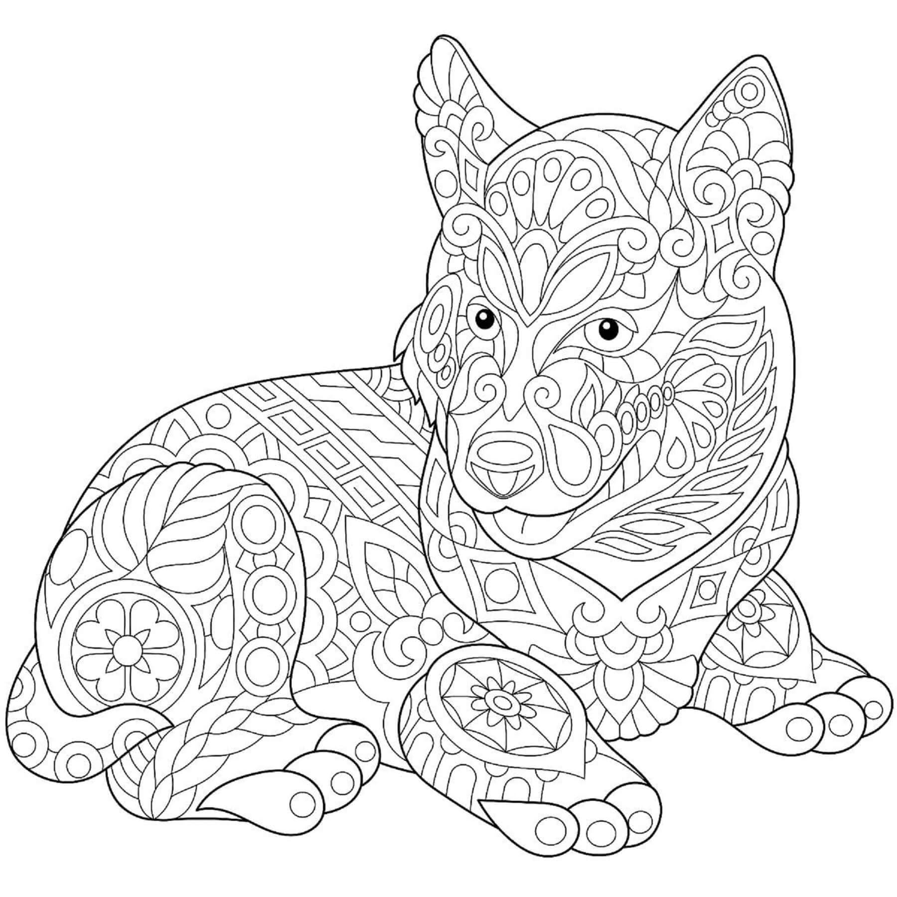 Mandala de Perro acostado para colorir