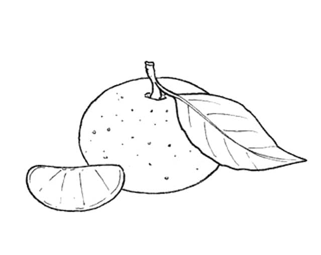 Dibujos de Mandarina 4 para colorear