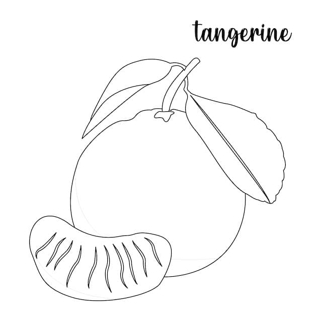 Dibujos de Mandarina básico en niños para colorear