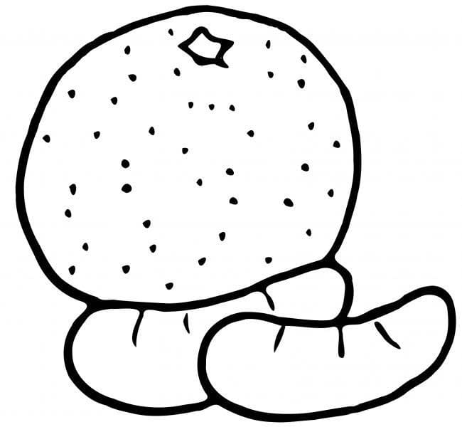 Dibujos de Mandarina fácil en niños para colorear