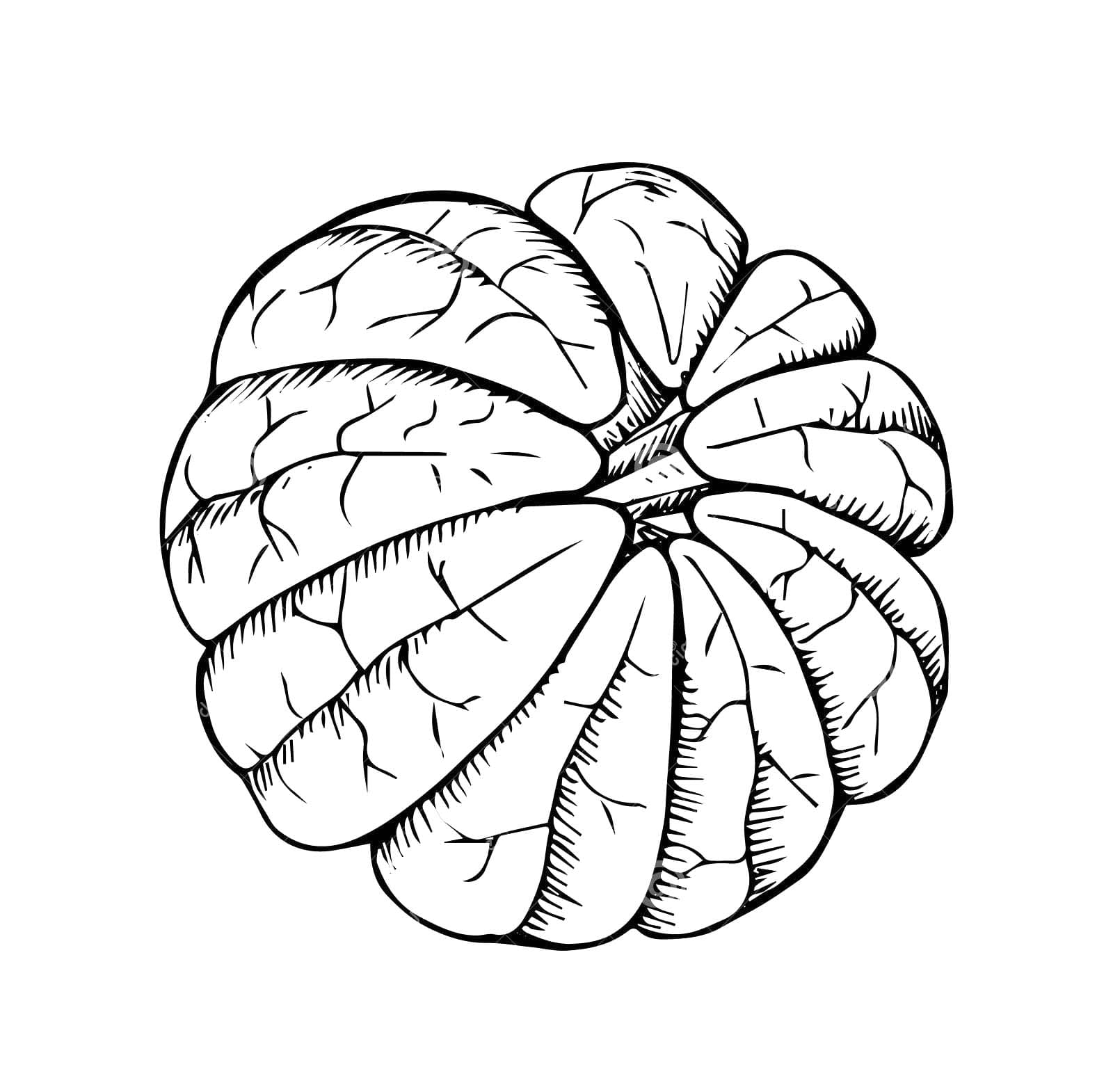 Mandarina para colorear