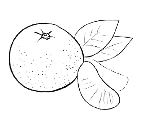 Dibujos de Mandarina Imprimible para niños para colorear