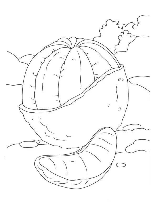 Dibujos de Mandarina muy fácil para colorear