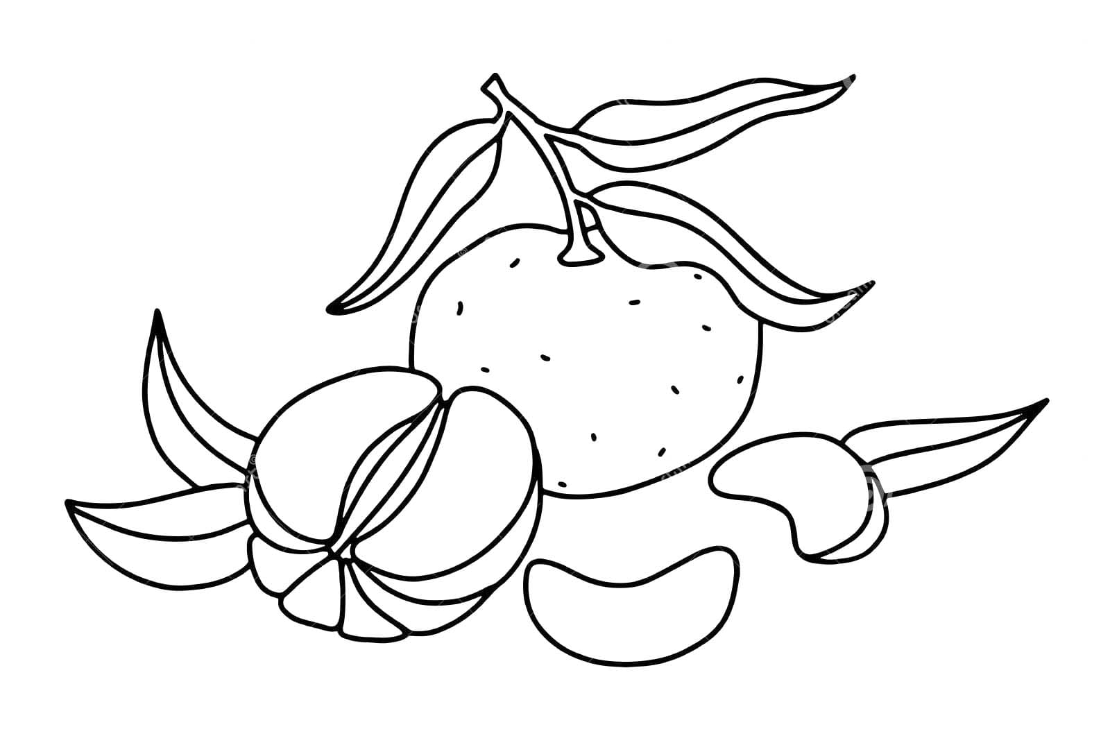 Dibujos de Mandarina para niños para colorear