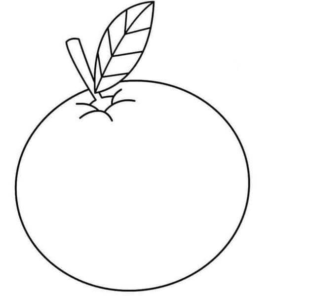 Dibujos de Mandarina sencillo para colorear