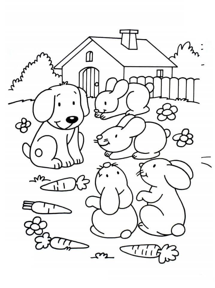 Dibujos de Mascotas Perros y Conejos para colorear