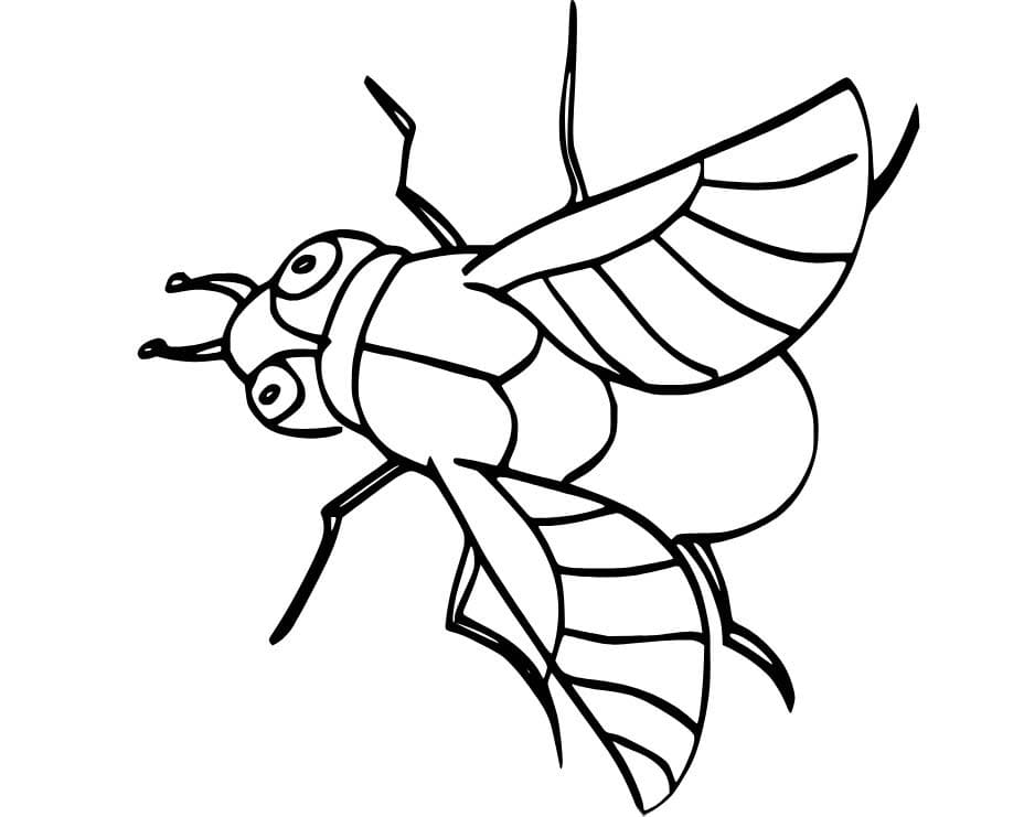 Mosca para colorear