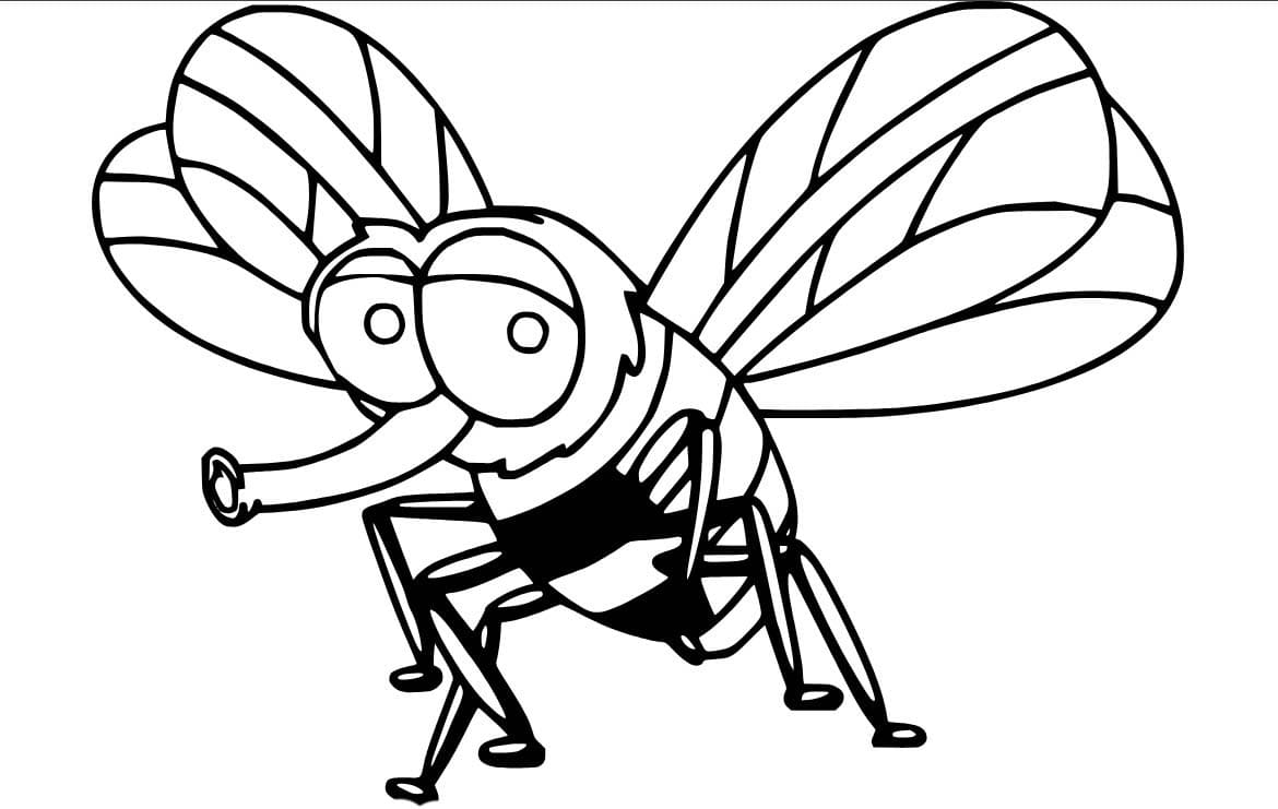 Dibujos de Mosca Gratis para niños para colorear