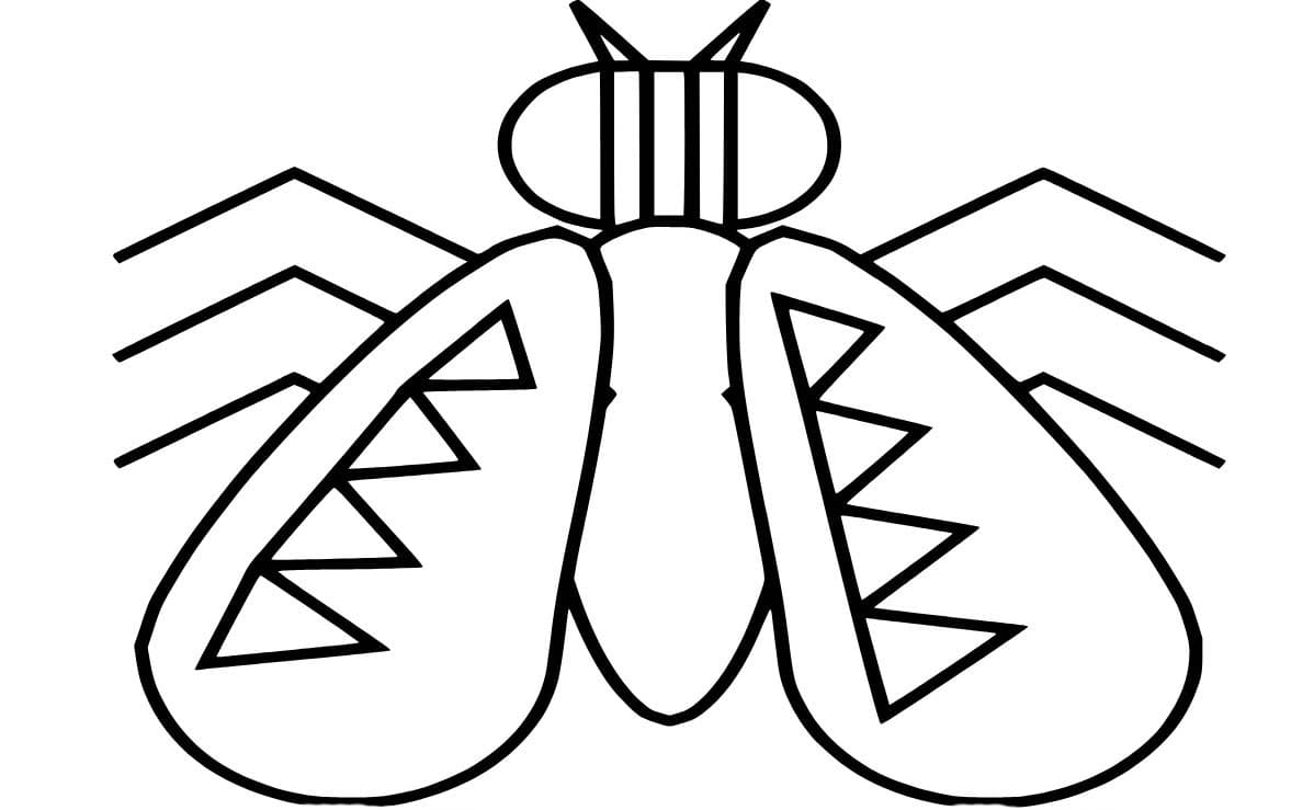 Dibujos de Mosca para niños para colorear