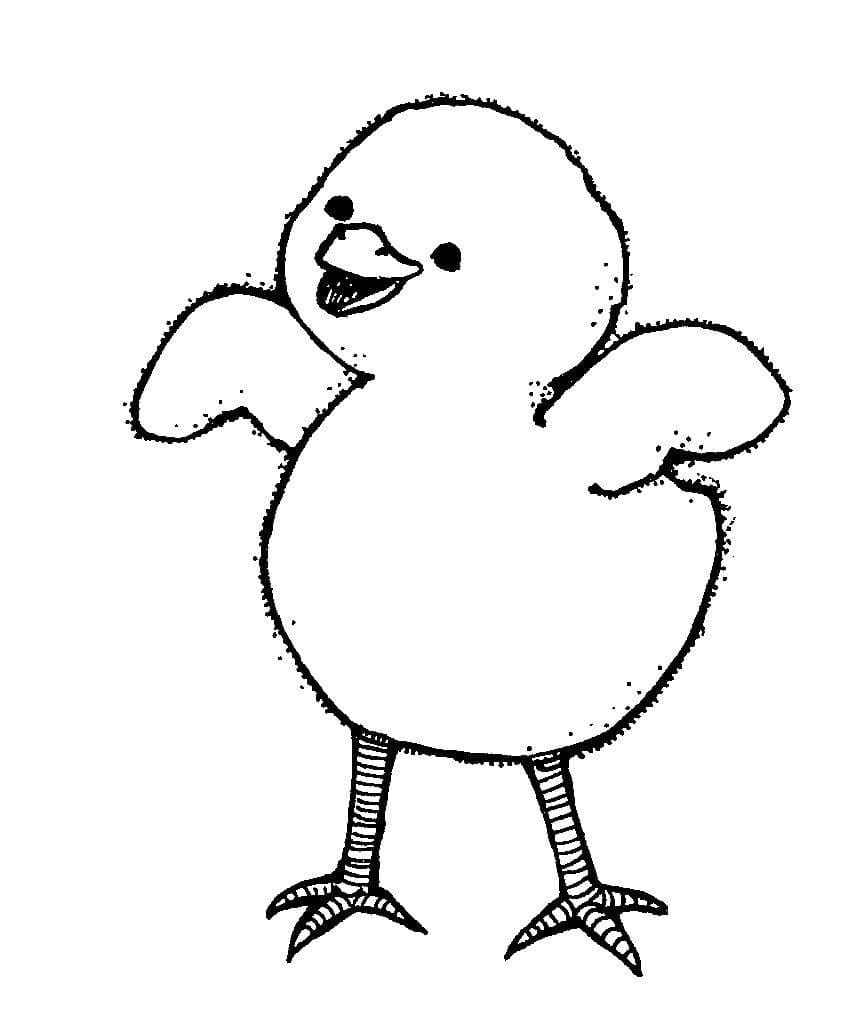 Dibujos de Muy básica pollitos para colorear