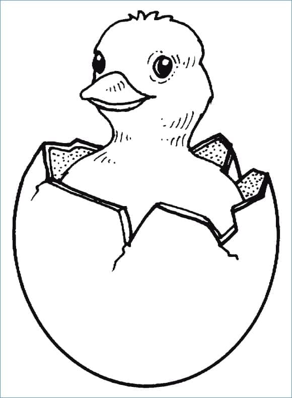 Dibujos de Muy fácil pollitos para colorear