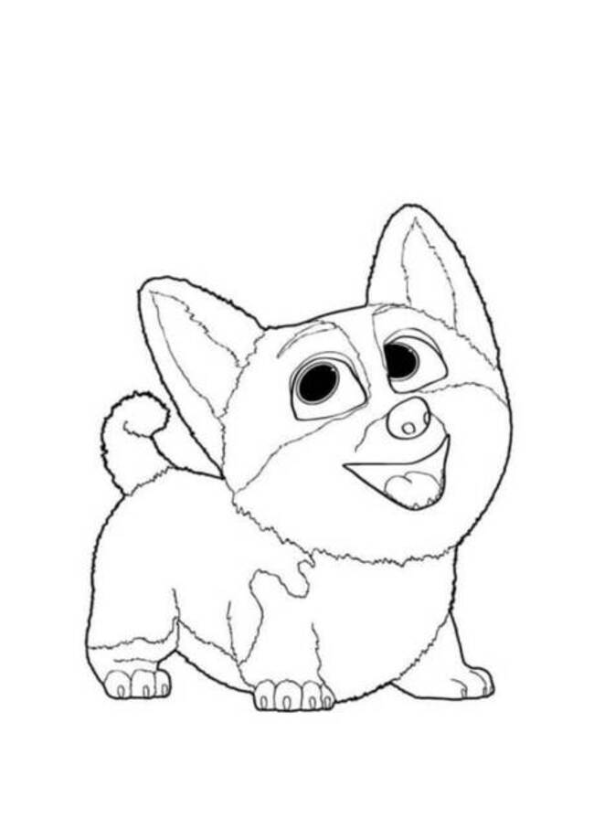 Dibujos de Muy feliz Corgi para colorear