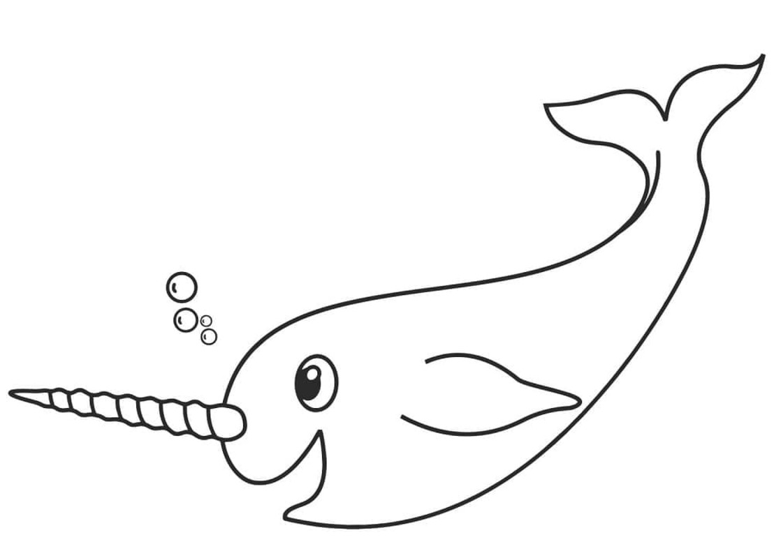 Dibujos de Narval básico imprimible para colorear
