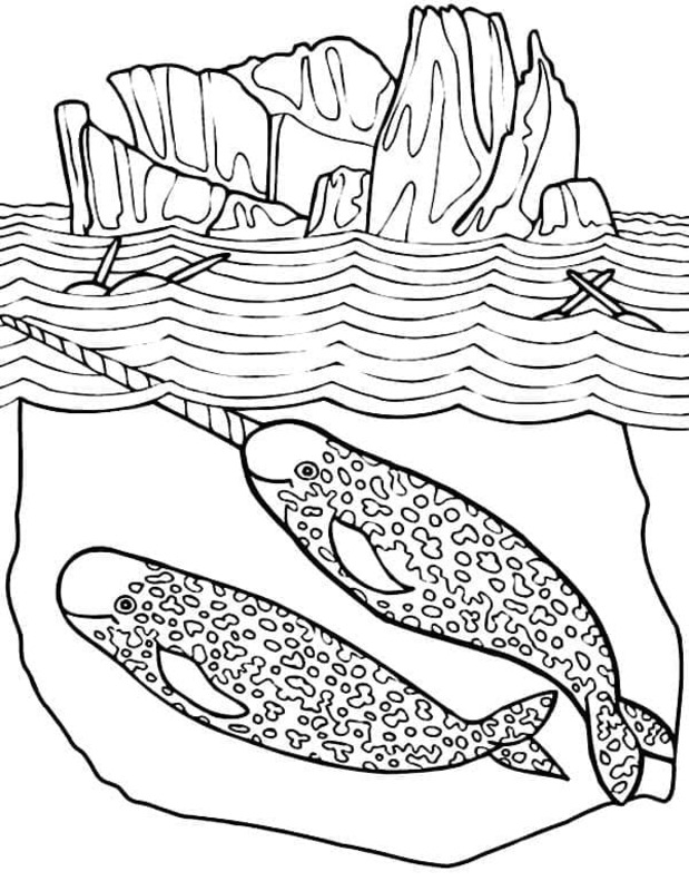 Dibujos de Narval fácil imprimible para colorear