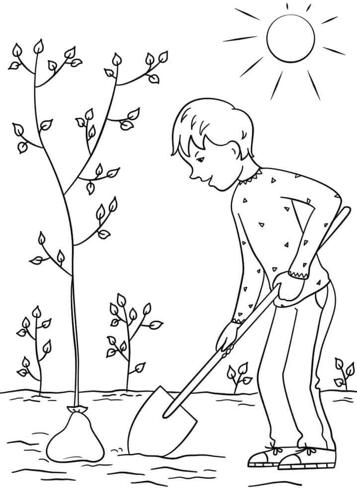 Niño Plantando un árbol para colorir