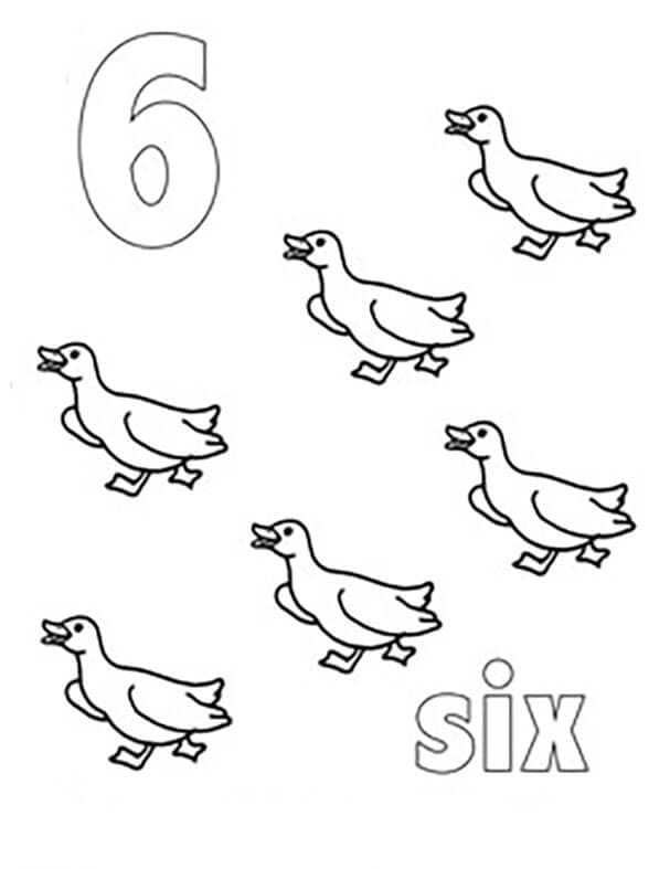Número 6 con patos para colorir
