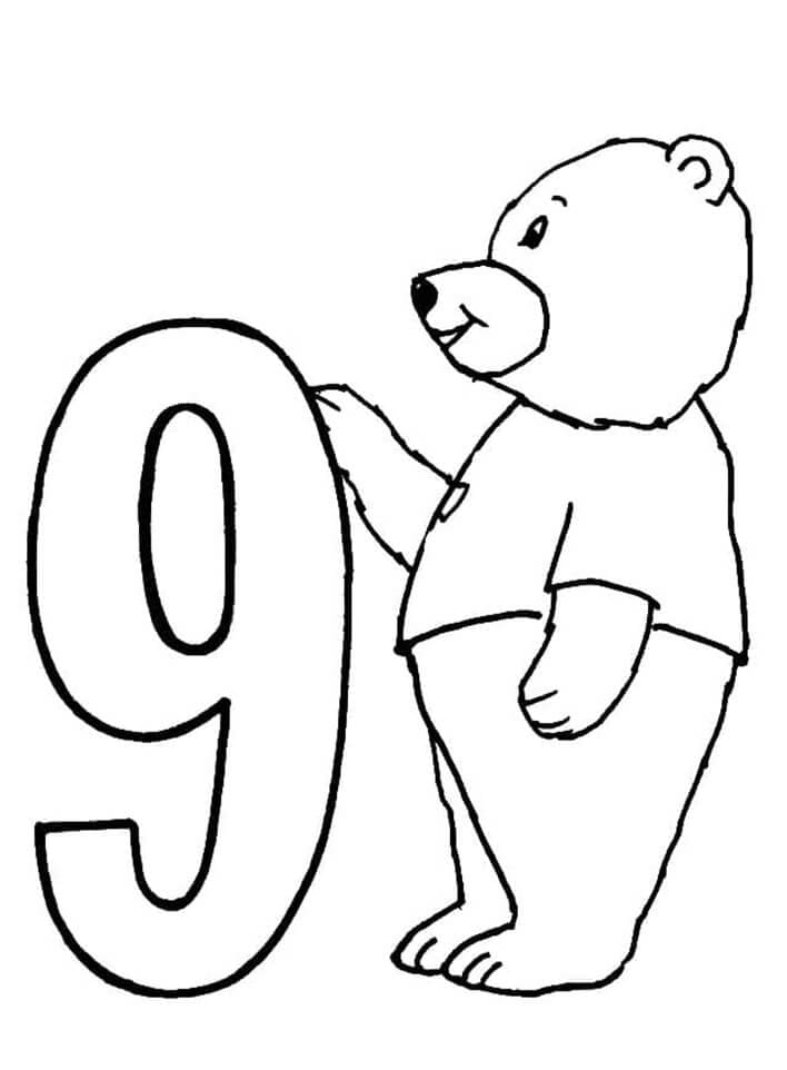Número 9 con oso para colorir