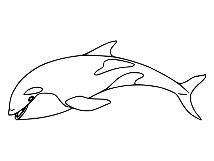 Dibujos de Orca gratis para niños para colorear