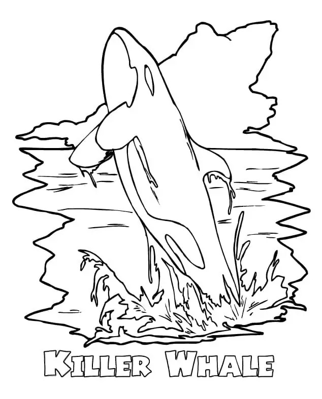 Dibujos de Orca imprimible para colorear